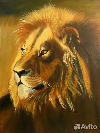 Картина маслом на холсте Лев большая