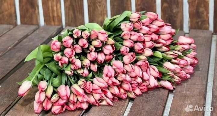 Тюльпаны к 8 марта букеты из тюльпанов