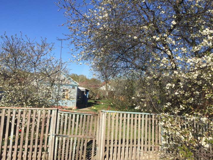 Дом 26 м² на участке 6 сот.