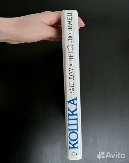 Энциклопедия про кошек