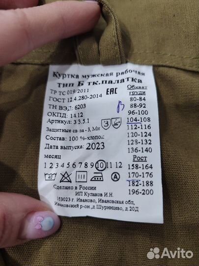 Бойцовка отрядная, зелёная