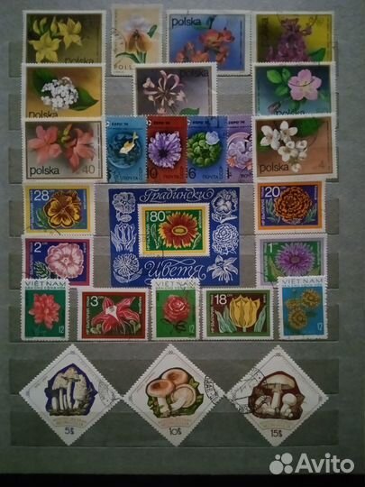 Марки и блоки