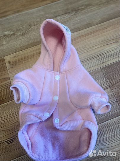 Одежда для собак мелких пород