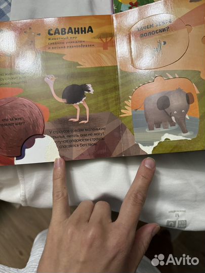 Детские книги clever с окошками