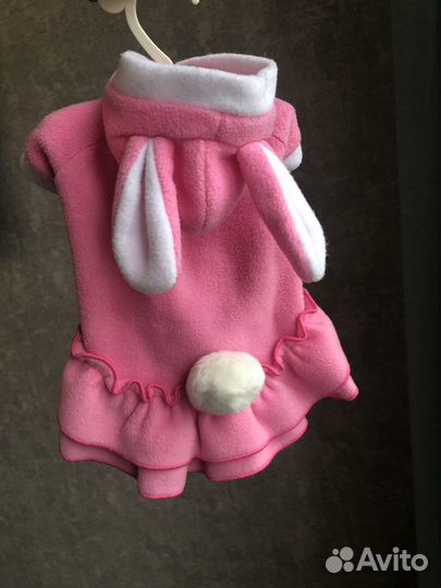 Одежда для собаки