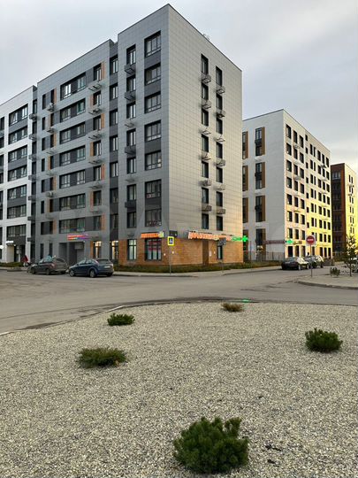 Торговая площадь, 77 м²