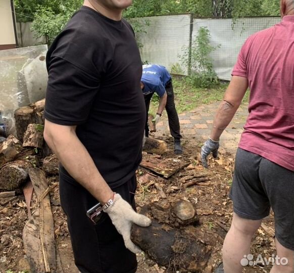 Разнорабочие