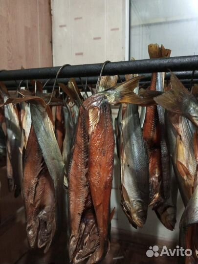 Вяленая чехонь рыба, горбуша, скумбрия, жерех