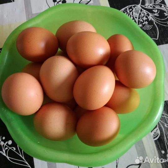 Домашние куриные яйца
