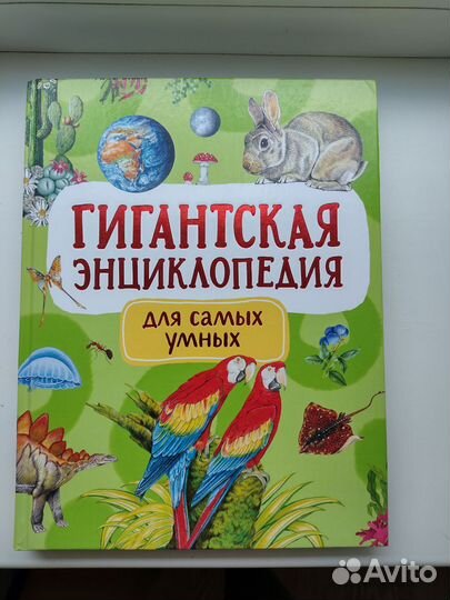 Детские книги виммельбух