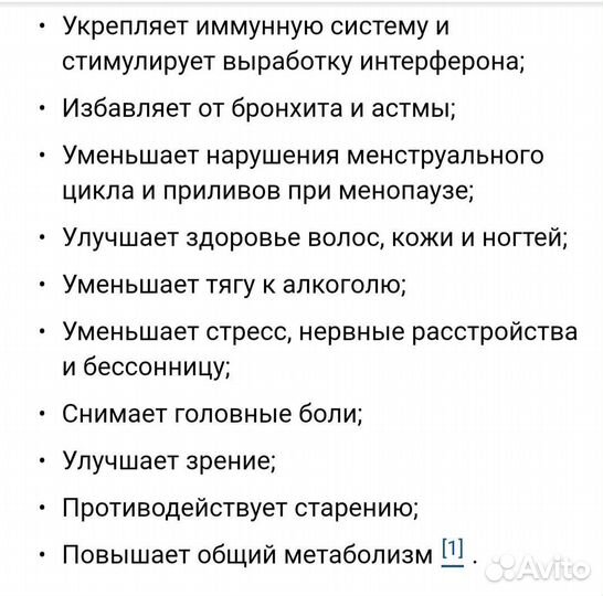 Чайный гриб