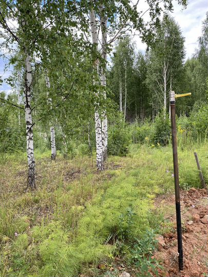 Участок 12 сот. (ИЖС)