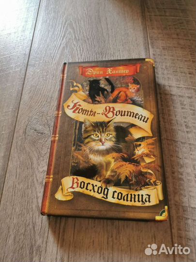 Коты воители