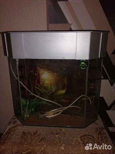 Аквариум