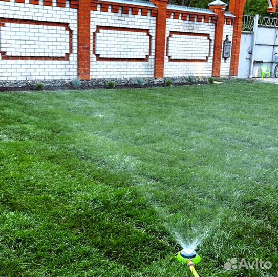 Рулонный газон
