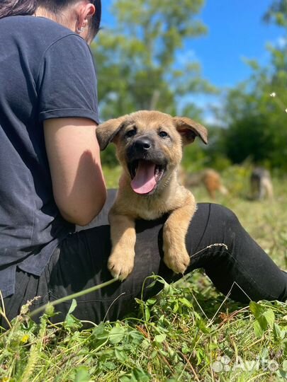 Ищем дом Джеку