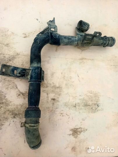 Трубка системы охлаждения Peugeot Partner