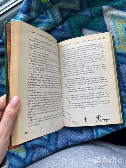 Книга Брат Волк