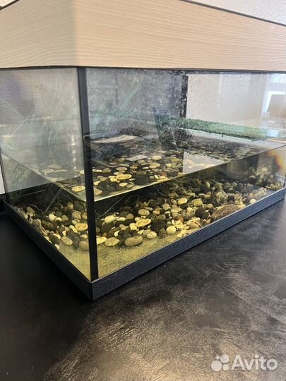 Продам террариум для красноухих черепах
