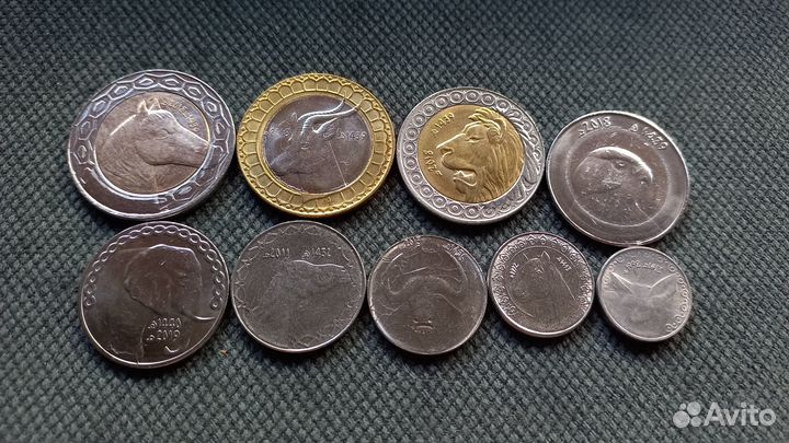 Животные на монетах