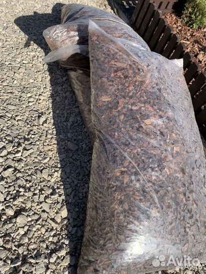 Кора лиственницы