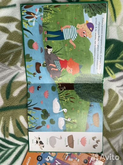 Книги Clever Найди и покажи