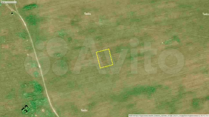 Участок 20 сот. (СНТ, ДНП)