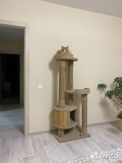 Когтеточка с домиком
