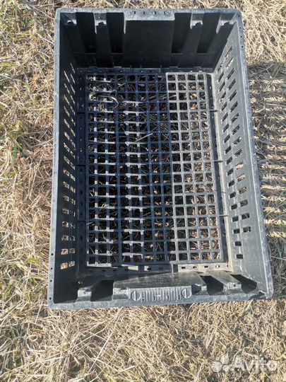 Пластиковые пищевые ящики