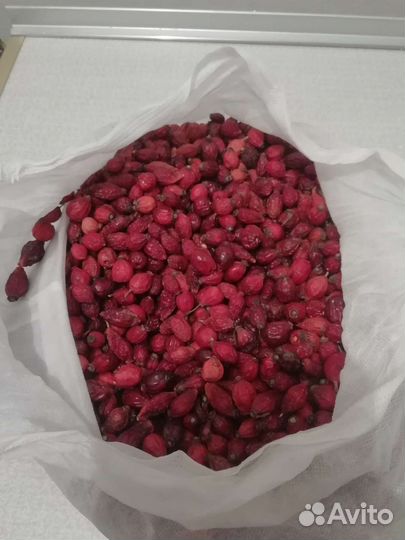 Шиповник сушеный