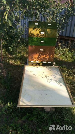 Ульи с пчелами