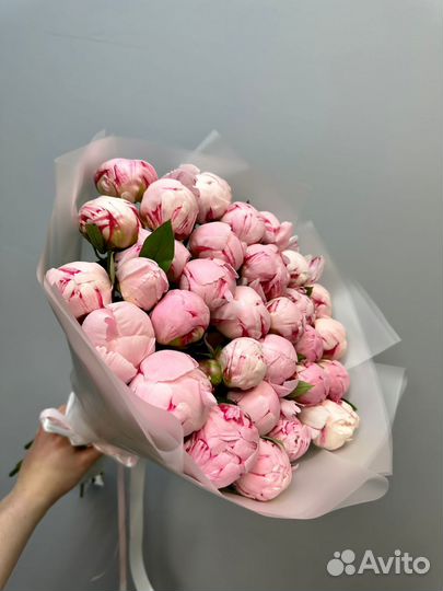 Пионы поштучно