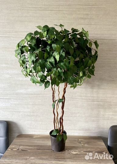 Искусственное дерево фикус, самшит, пальма