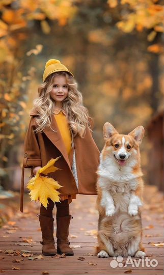 Фотограф Краснодар. Фотодень. Фотосессии с животны