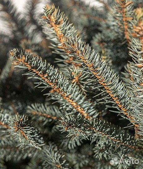 Новогодняя елка оптом и в розницу