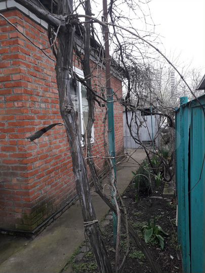 Таунхаус 55,2 м² на участке 1 сот.