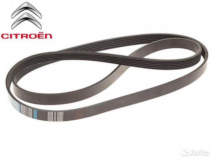 Приводной ремень citroen belt