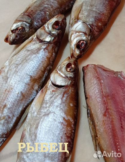 Рыбец Вобла Чехонь Килька