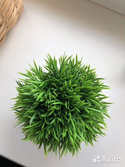 Растение искусственное