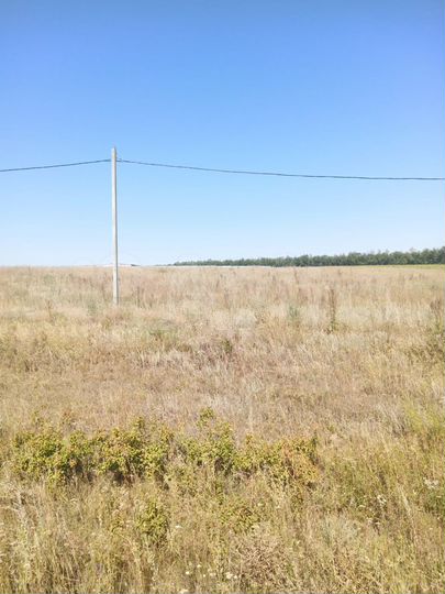 Участок 49 сот. (промназначения)