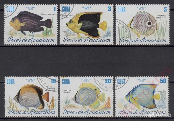 Фауна-часть 6(И марки по другим темам.)