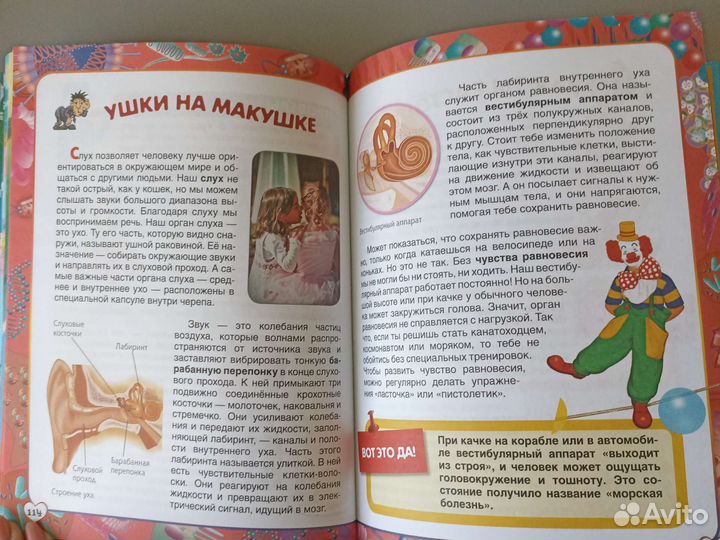 Первая энциклопедия школьника