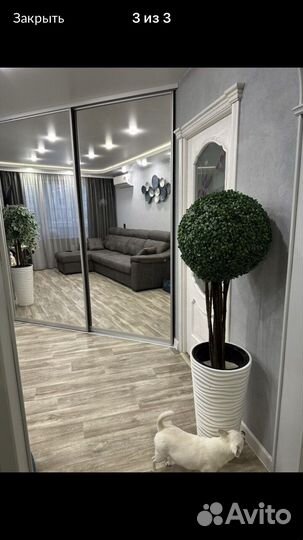 Искусственное растение