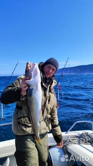 Ловля трески в мере