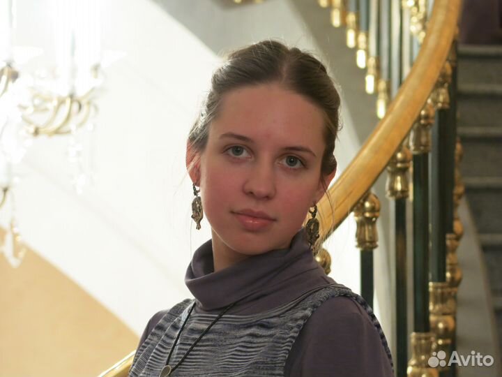 Профессиональный переводчик