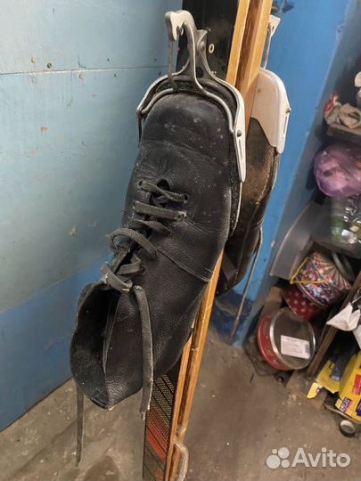 Беговые лыжи