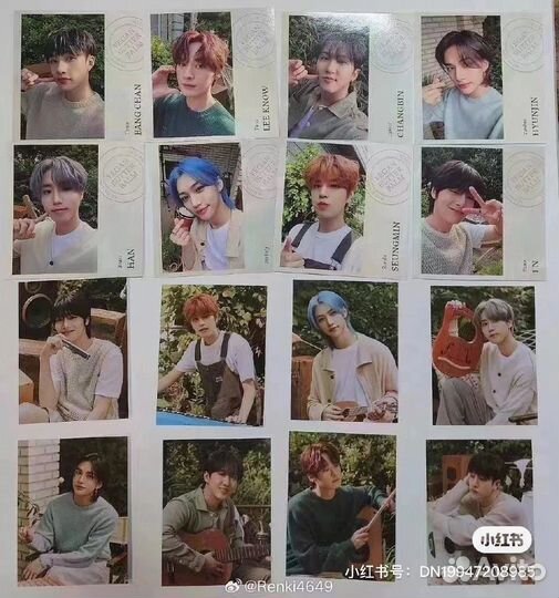 Stray kids Nacific Little Forest