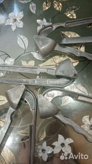 Чесночница СССР