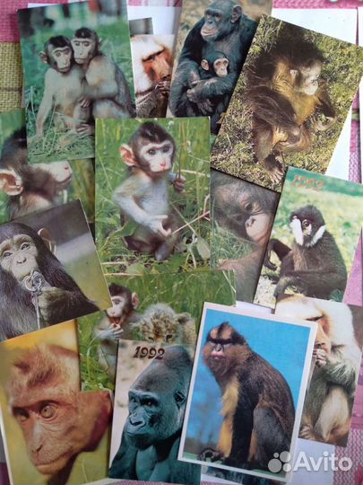 Календарики СССР, природа, животные