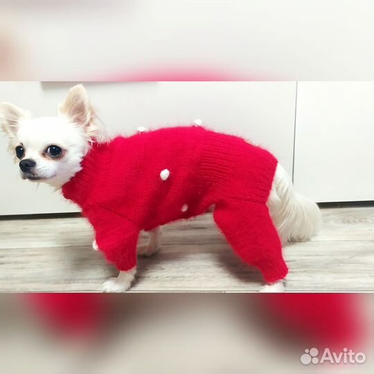 Вязаный комбинезон для собаки